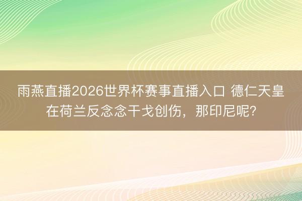 雨燕直播2026世界杯赛事直播入口 德仁天皇在荷兰反念念干戈创伤,那印尼呢?