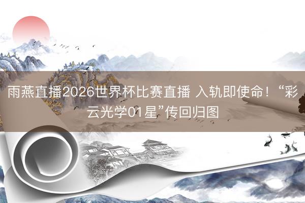 雨燕直播2026世界杯比赛直播 入轨即使命!“彩云光学01星”传回归图