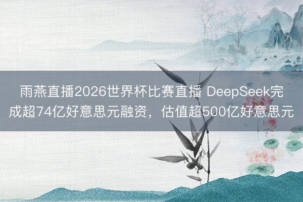 雨燕直播2026世界杯比赛直播 DeepSeek完成超74亿好意思元融资，估值超500亿好意思元